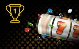 win999 bet