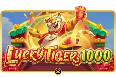 win999 bet
