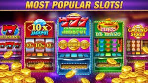 win999 bet